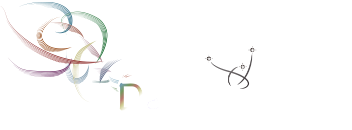 Dacchi portfolio